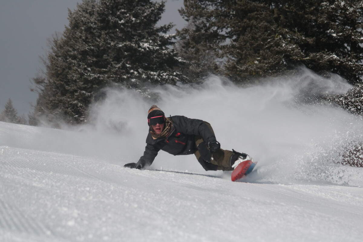 Bogus Basin Mountain Recreation Area cleared brush in key areas during the offseason to improve skiing this winter.
