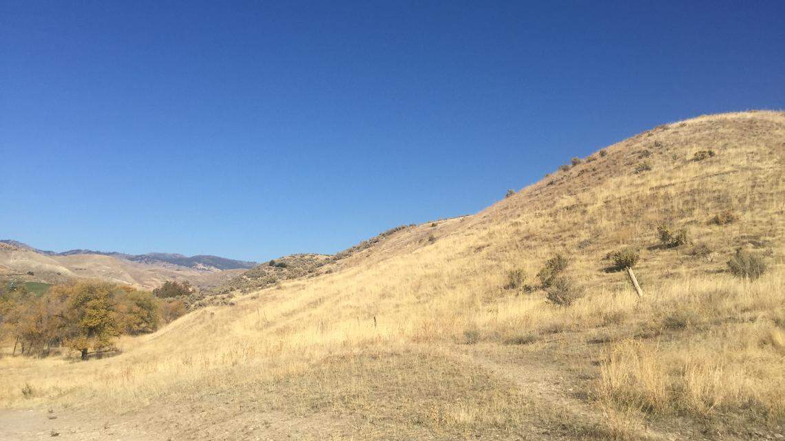 A Boise developer has proposed building 29 lots on privately owned land that sits between Hillside to Hollow Reserve and Quail Hollow Golf Course in the Central Foothills.