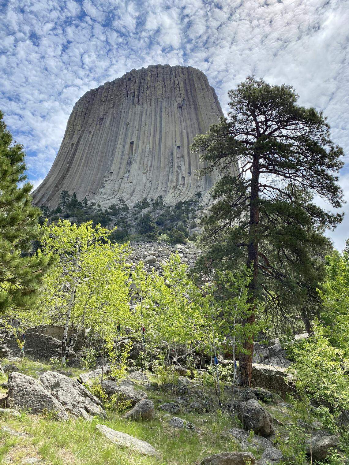 Devils Tower National Monument is a striking butte in Wyoming, with a paved trail that surrounds it.