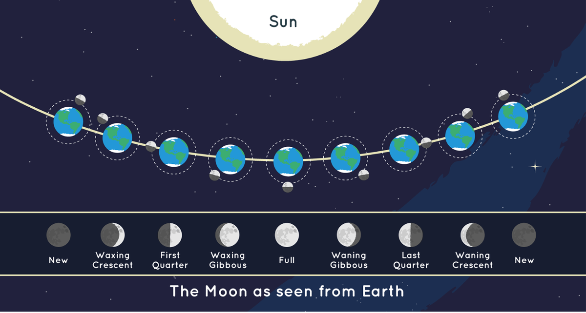 A diagram showing the different positions of the moon during its phases in relation to the sun and its orbit around Earth.
