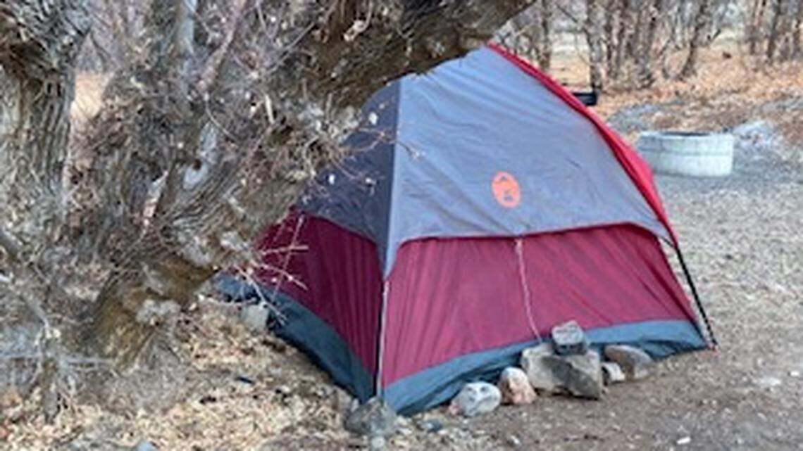 A woman missing since December foraged for grass and moss to survive in a remote Utah canyon, officials say. A crashed drone led searchers to her tent.