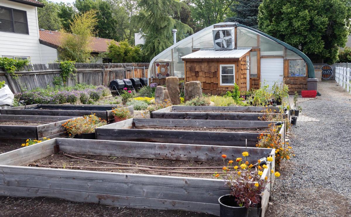 Boxes are prepared for planting produce at Boise-based Vertical Farm.