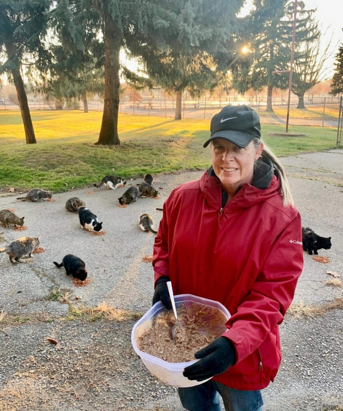 Tracy Brodt has been caring for the feral cat population at Les Bois Park in Garden City for more than a decade.