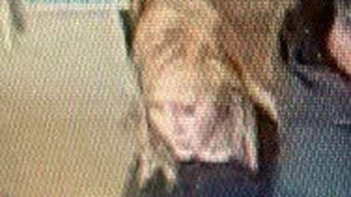 The girl was in Boise on Nov. 25 when this surveillance photo was taken.