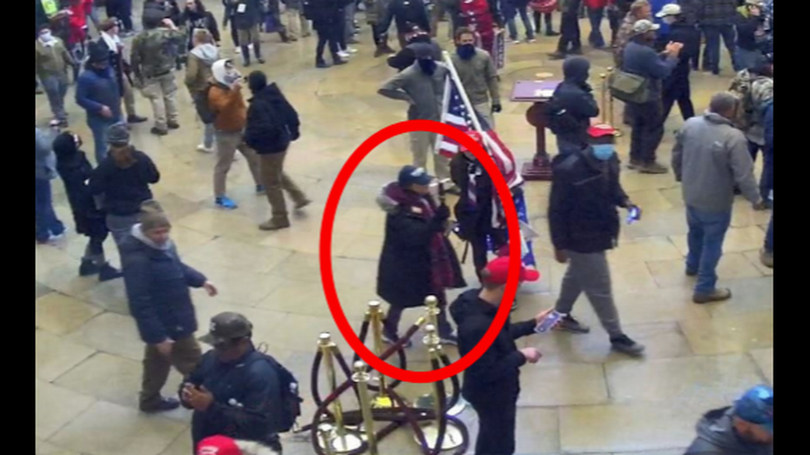 Boise resident Pamela Hemphill, circled, was pictured in the U.S. Capitol Rotunda.