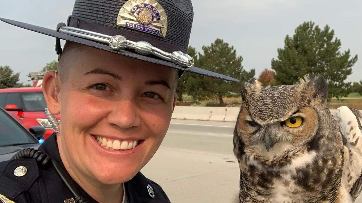 Idaho State Police Sgt. Brandalyn Crapo helped rescue a great horned owl Tuesday on Idaho’s busy I-84 in Nampa.