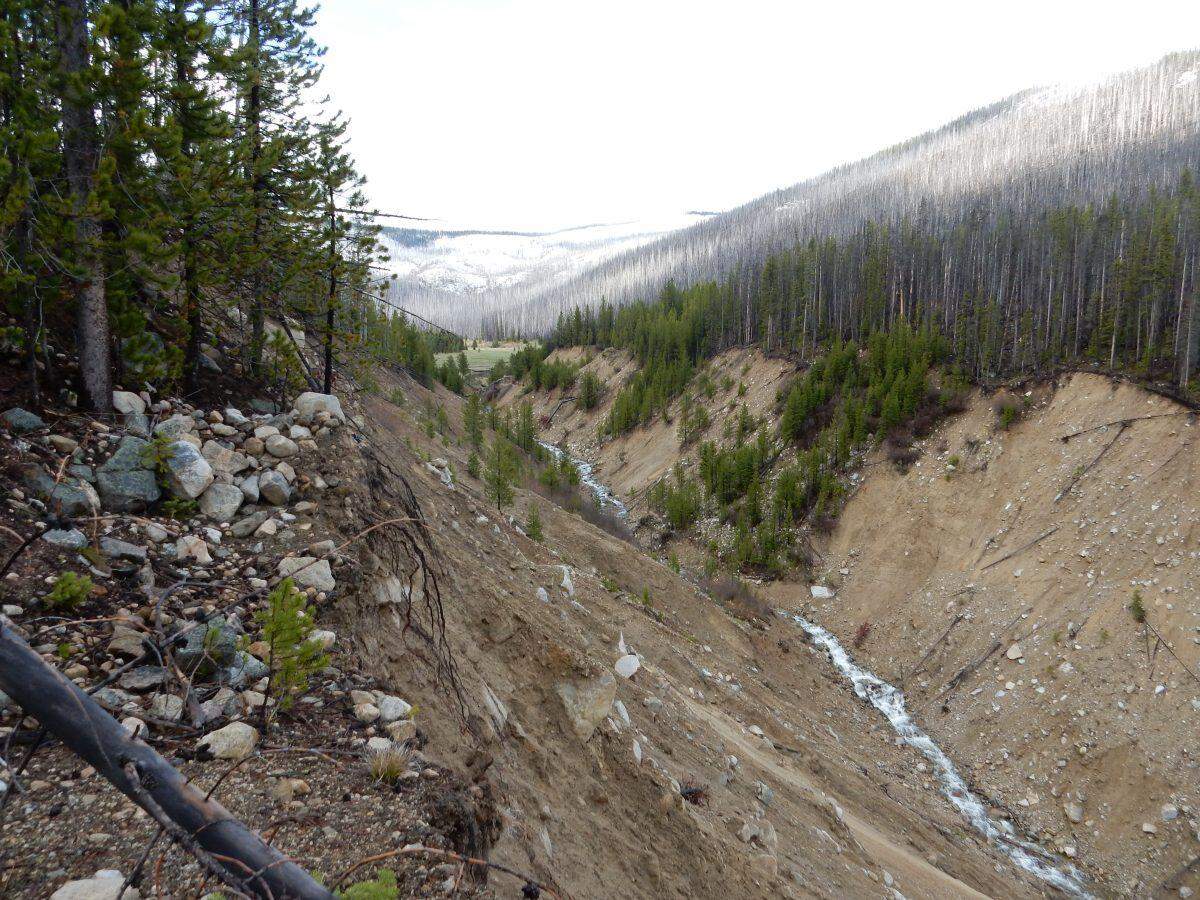 This is Blowout Creek, once known as the East Fork of Meadow Creek. It flows into the East Fork of the South Fork of the Salmon River east of Yellow Pine. A mining company built a hydroelectric dam on this creek in 1931. The dam failed in 1965, washing out much of the hillside and leading to the Blowout Creek name. During spring runoff, the water turns brown from sediment.