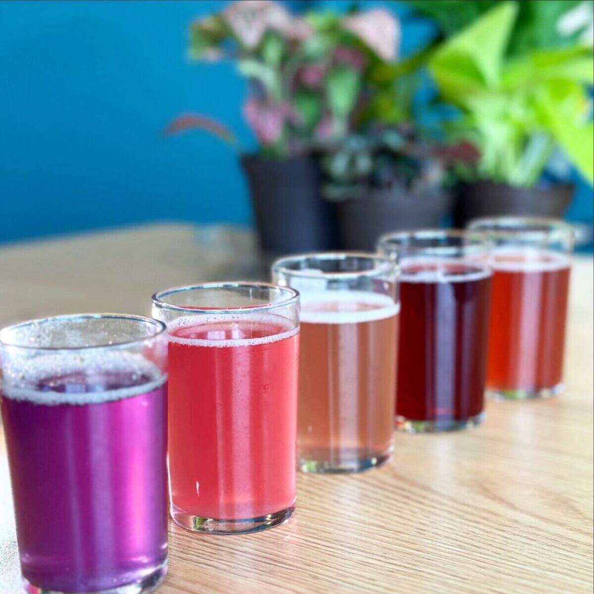 Boise Booch produces a variety of colorful flavors.