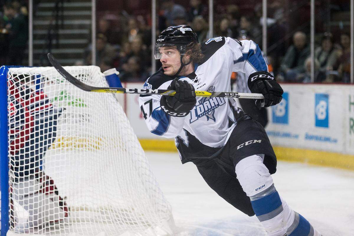 The Idaho Steelheads take on the Toledo Walleye on Friday and Saturday.