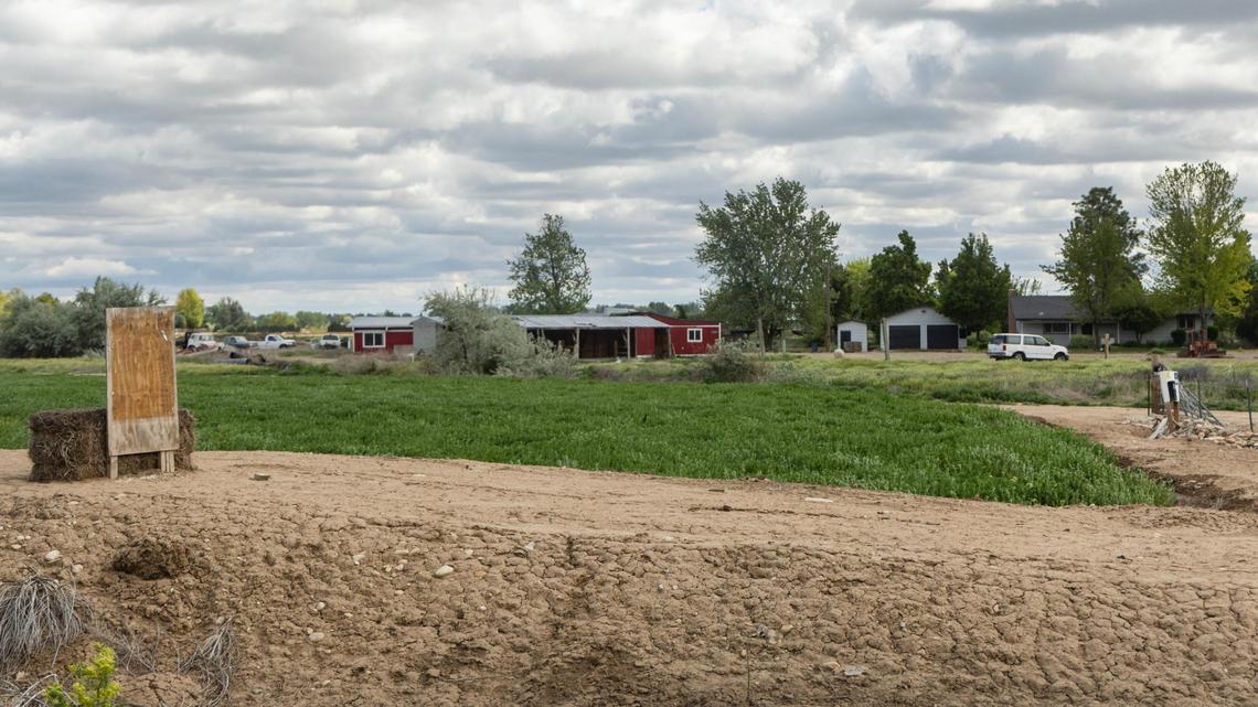 Four homes and accessory structures on the 143 acres that Toll Brothers wants to develop would be removed, including these buildings.