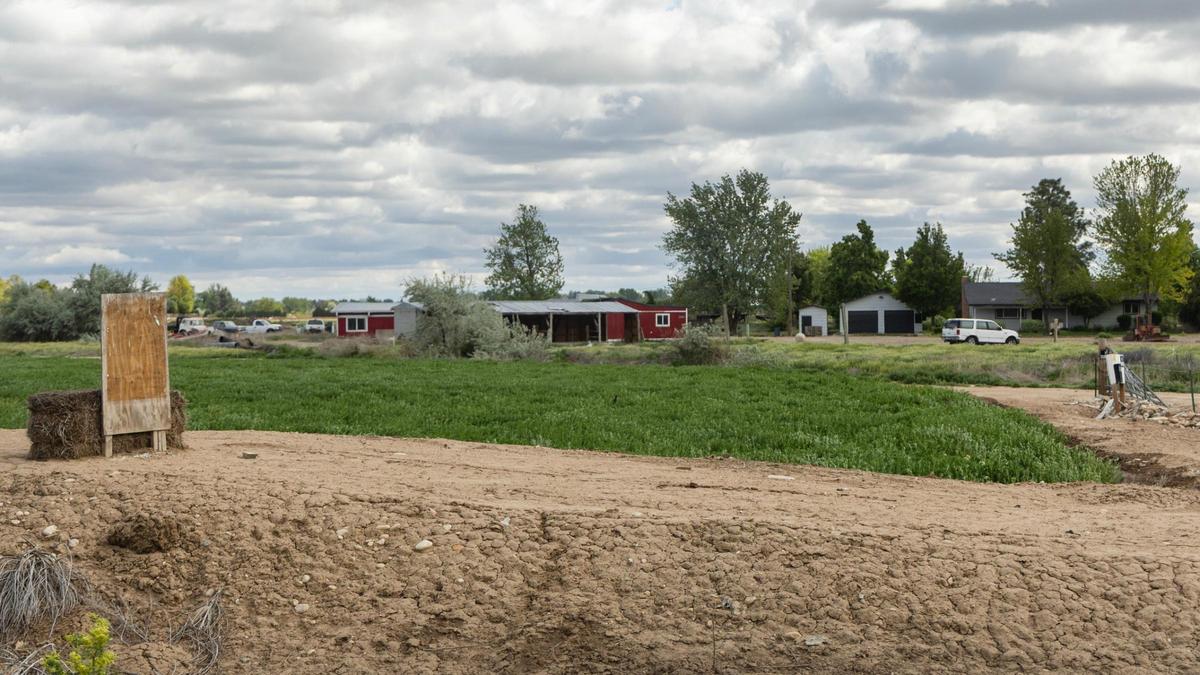 Four homes and accessory structures on the 143 acres that Toll Brothers wants to develop would be removed, including these buildings.