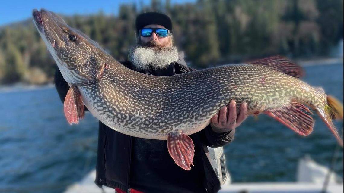Thomas Francis holds his record 40.76-pound northern pike caught at Hayden Lake on March 21.
