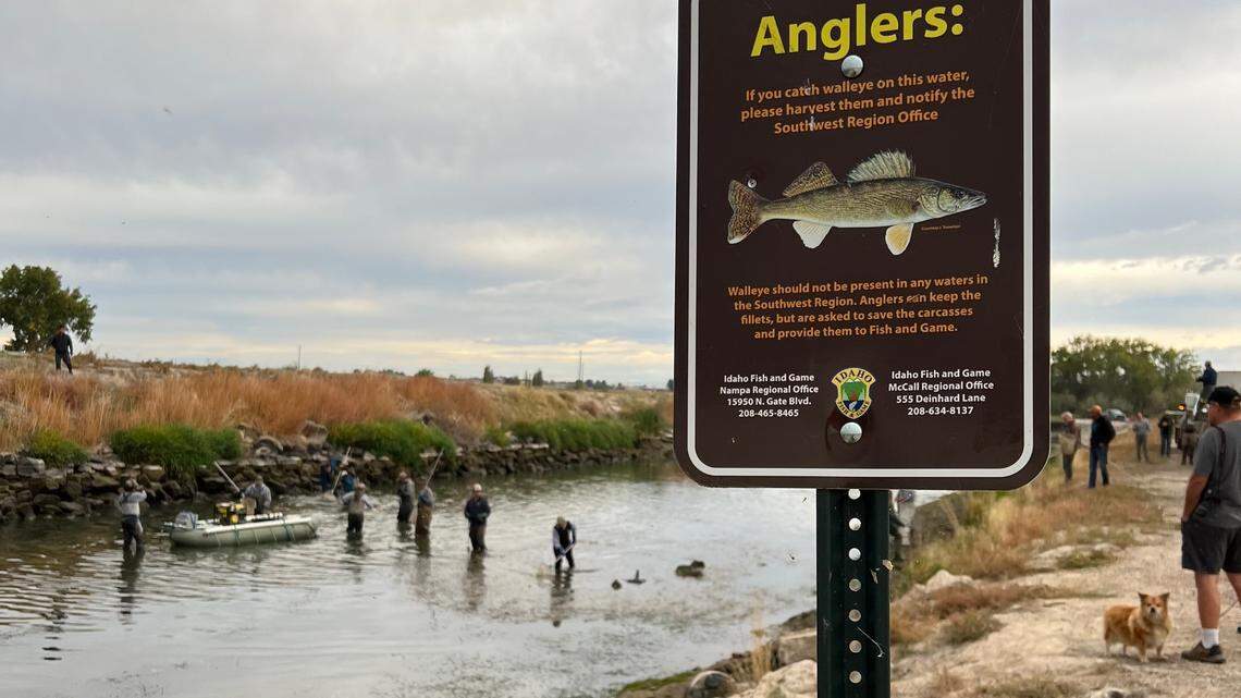 More algae blooms in Idaho prompt health advisories