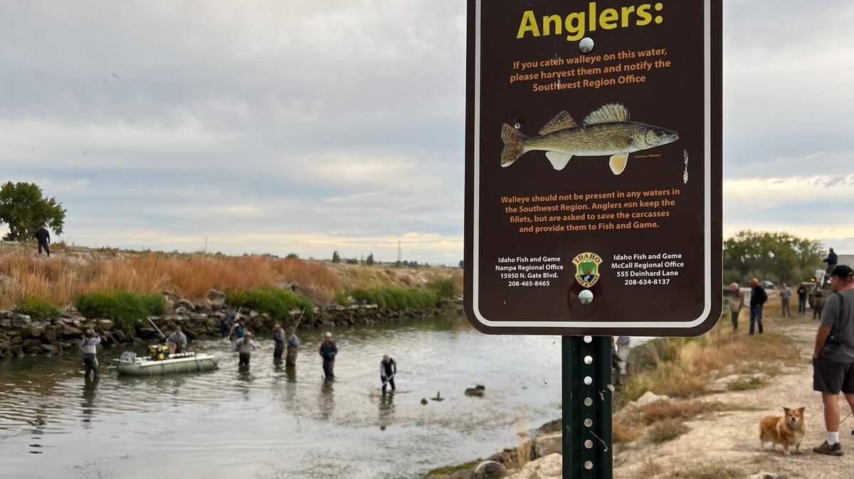 Pictured here is the Lowline Canal near Lake Lowell, one of the bodies of water the Idaho Department of Health urged the public to avoid after finding toxic algae blooms. 