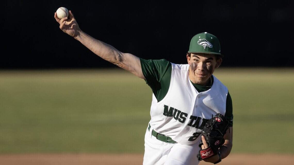 Idaho baseball regional playoffs are set. Check out the seeds and brackets