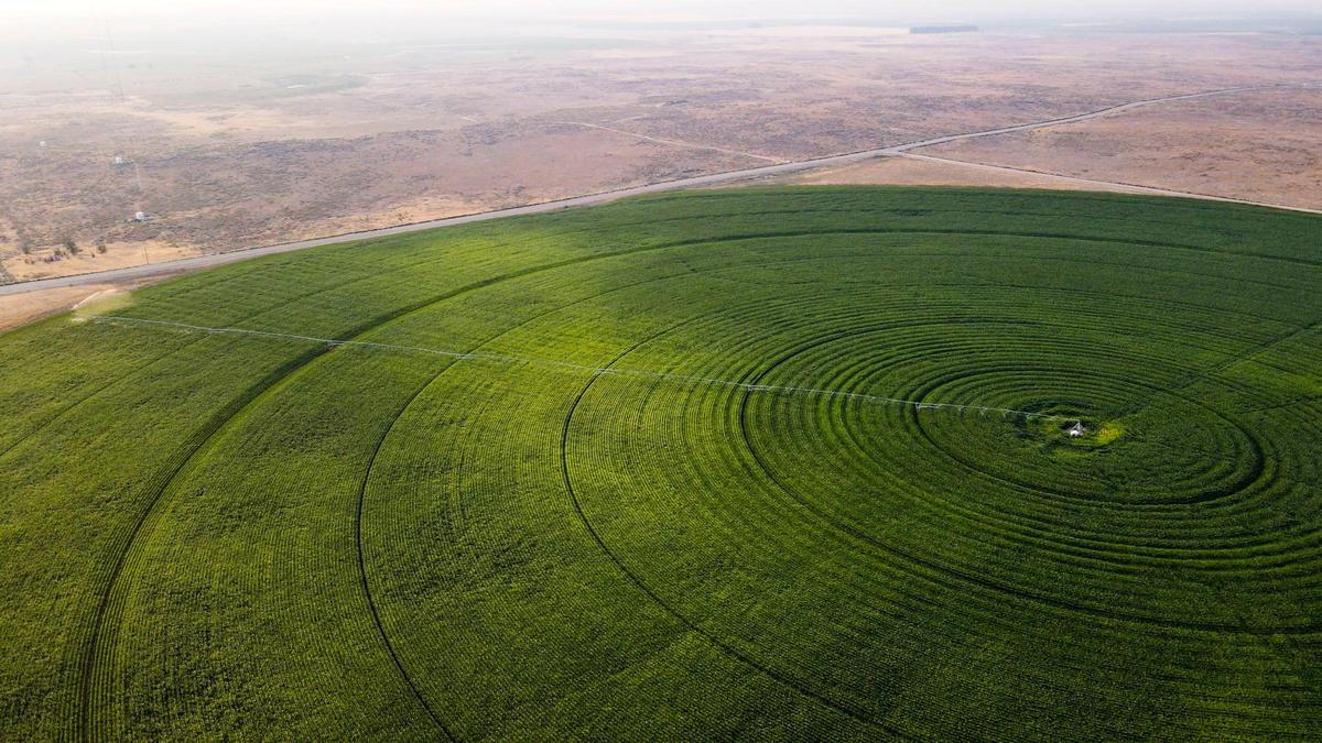 The view above a cornfield being irrigated by an automated pivot is a reminder of the arid natural landscape can be east of Kuna.
