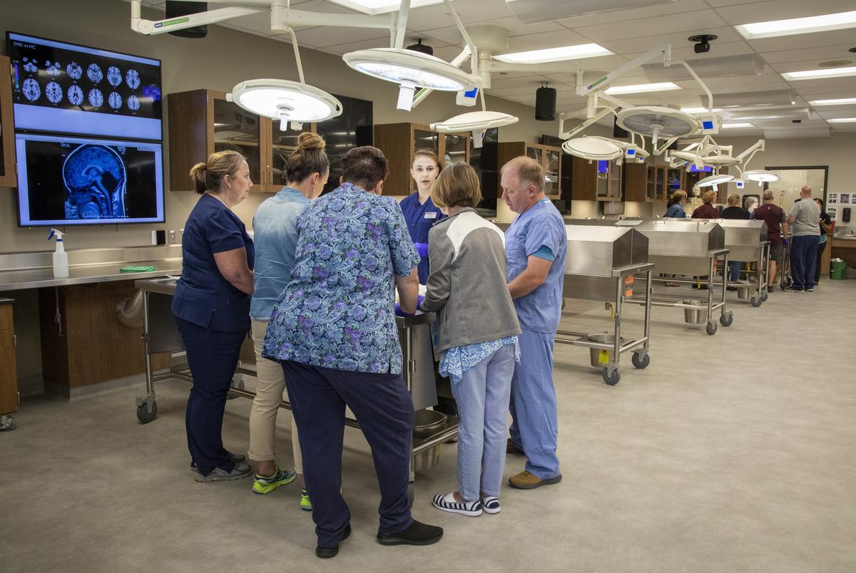 With an MRI on the computer screen to consult, educators examine a real brain on the table at Idaho State University’s anatomy lab.
