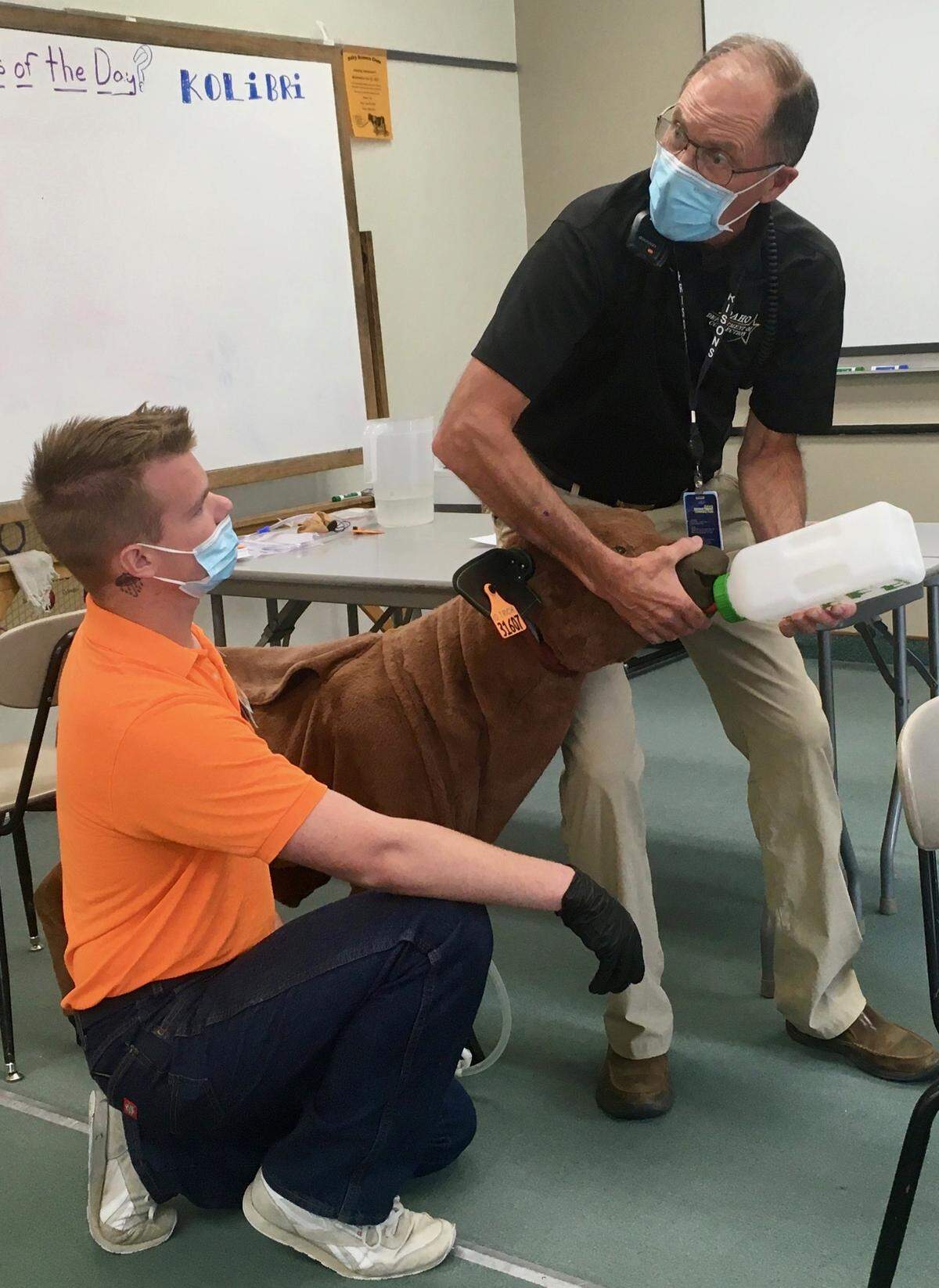 Kevin Rehder, a math and dairy science instructor, shows David Hay and the rest of the class at the North Idaho Correctional Institution how to bottle-feed a calf.