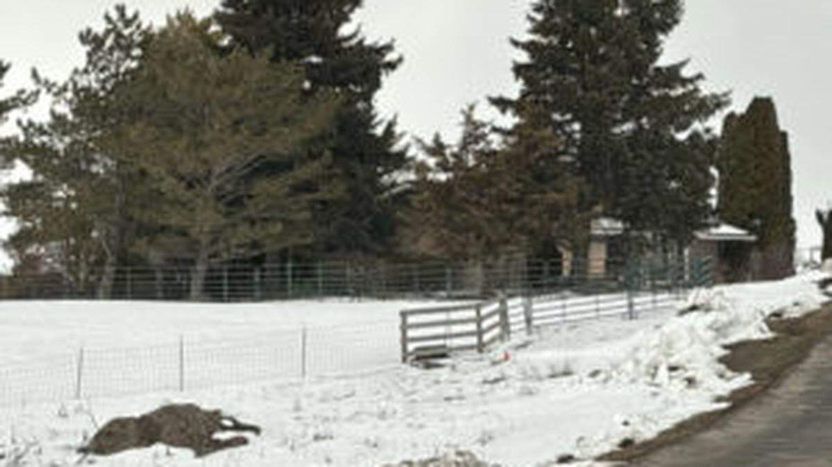 An 85-year-old Idaho woman who shot and killed a man after he broke into her home in the middle of the night was threatened, hit, handcuffed to a chair and shot multiple times, according to law enforcement.