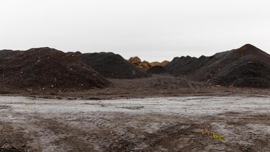 Windrows of compost are located at the Timber Creek Recycling site in south Meridian. Timber Creek is planning to decommission its site in Meridian while shifting operations to a new site in Nampa. Neighbors have complained about smells from the compost site.