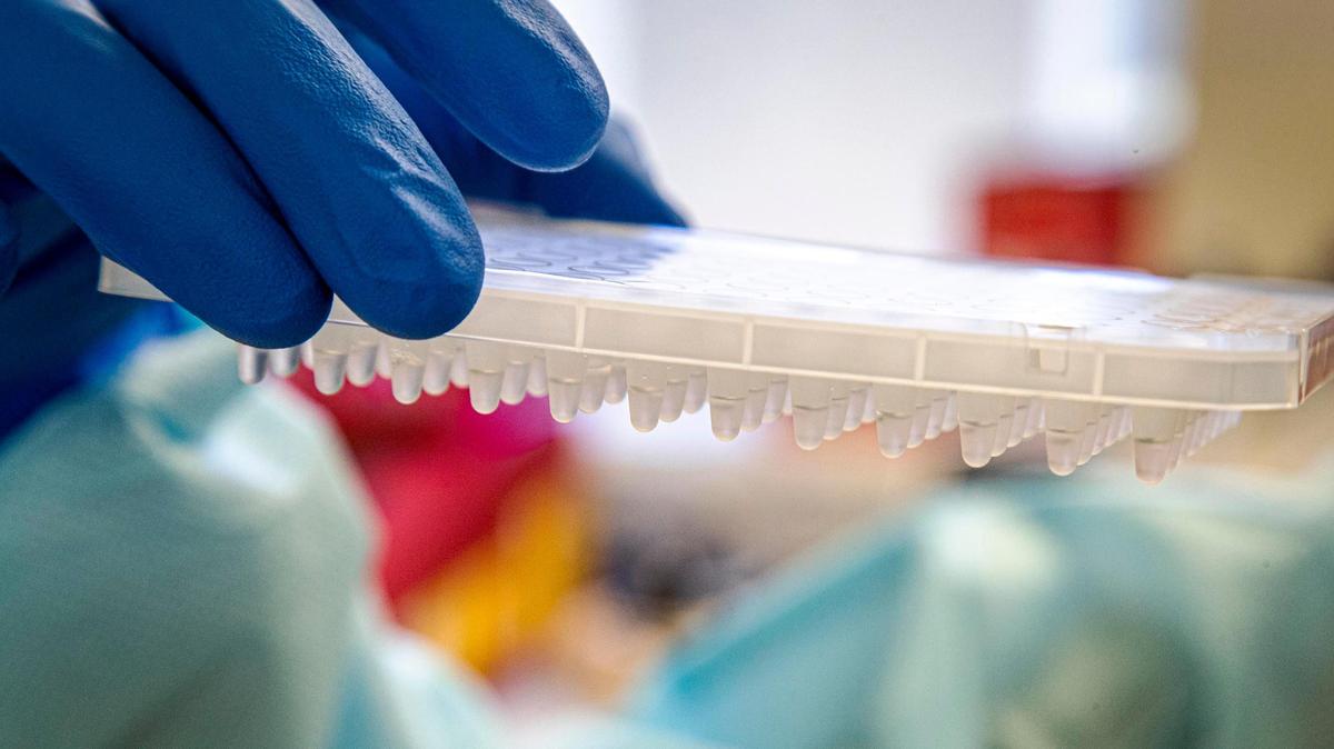 At least 59 positive COVID-19 tests were linked to a rehab center in North Carolina, officials said.