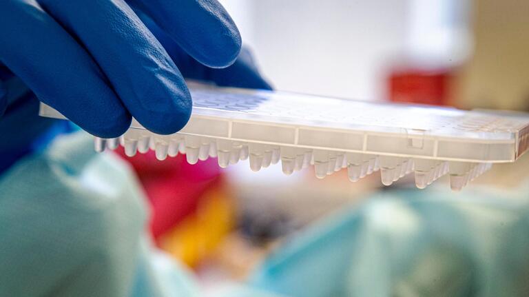 Coronavirus updates for Oct. 6: Here’s what to know in North Carolina this week