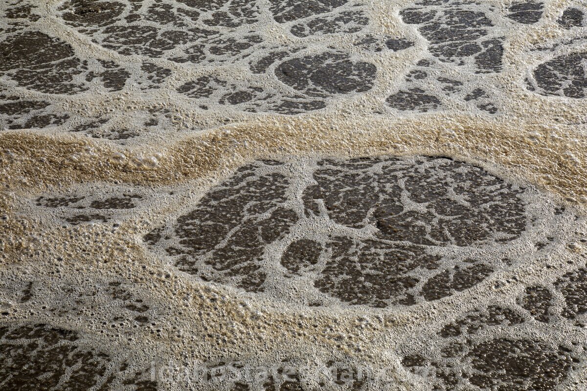 At this step, the “chocolate river,” aeration activates micro-organisms to dissolve pollutants, an important step in water renewal.