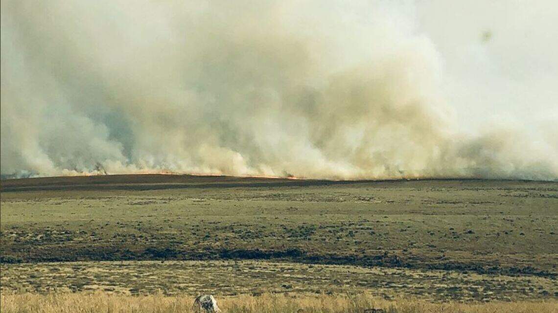 Wildfire near Hammett grows to 70,000 acres overnight, says Idaho BLM