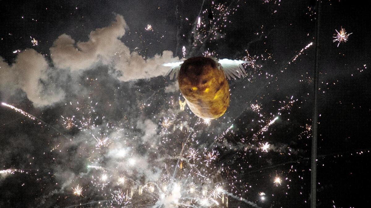 Fireworks light up the sky as the giant potato is lowered to celebrate the arrival of 2022 at the Idaho Potato Drop in downtown Boise by the state Capitol.