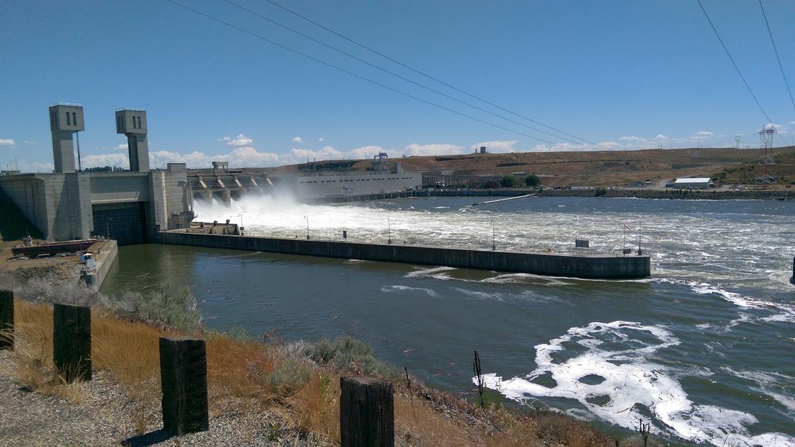 As runs dwindle, experts say Idaho’s salmon, steelhead ‘could be gone in a generation’