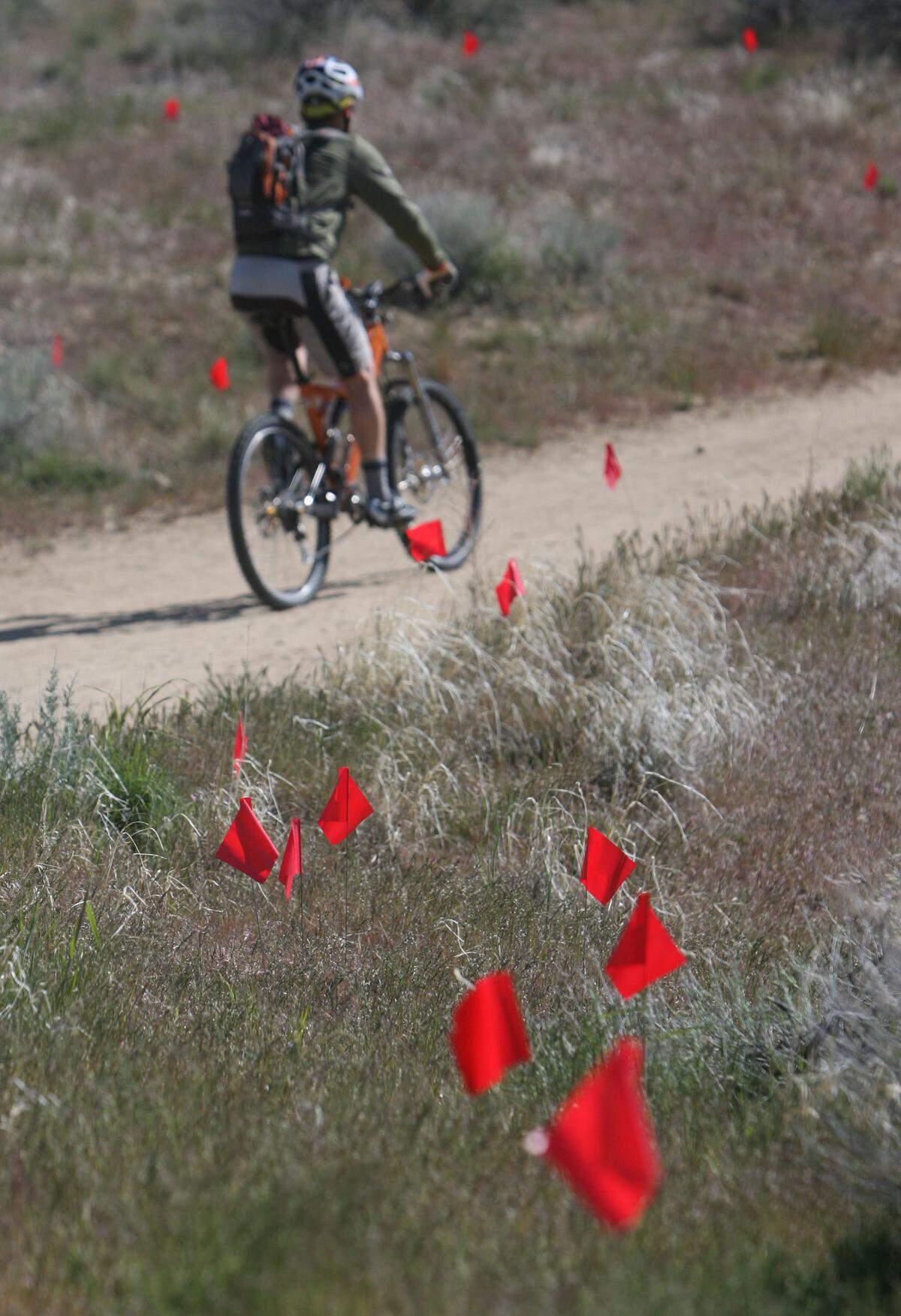 Red flags mark poop along Corrals, a popular Boise Foothills trail, in 2008. A decade later, the city of Boise estimates that the Ridge to Rivers trails system gets about 300,000 dog visits per year.