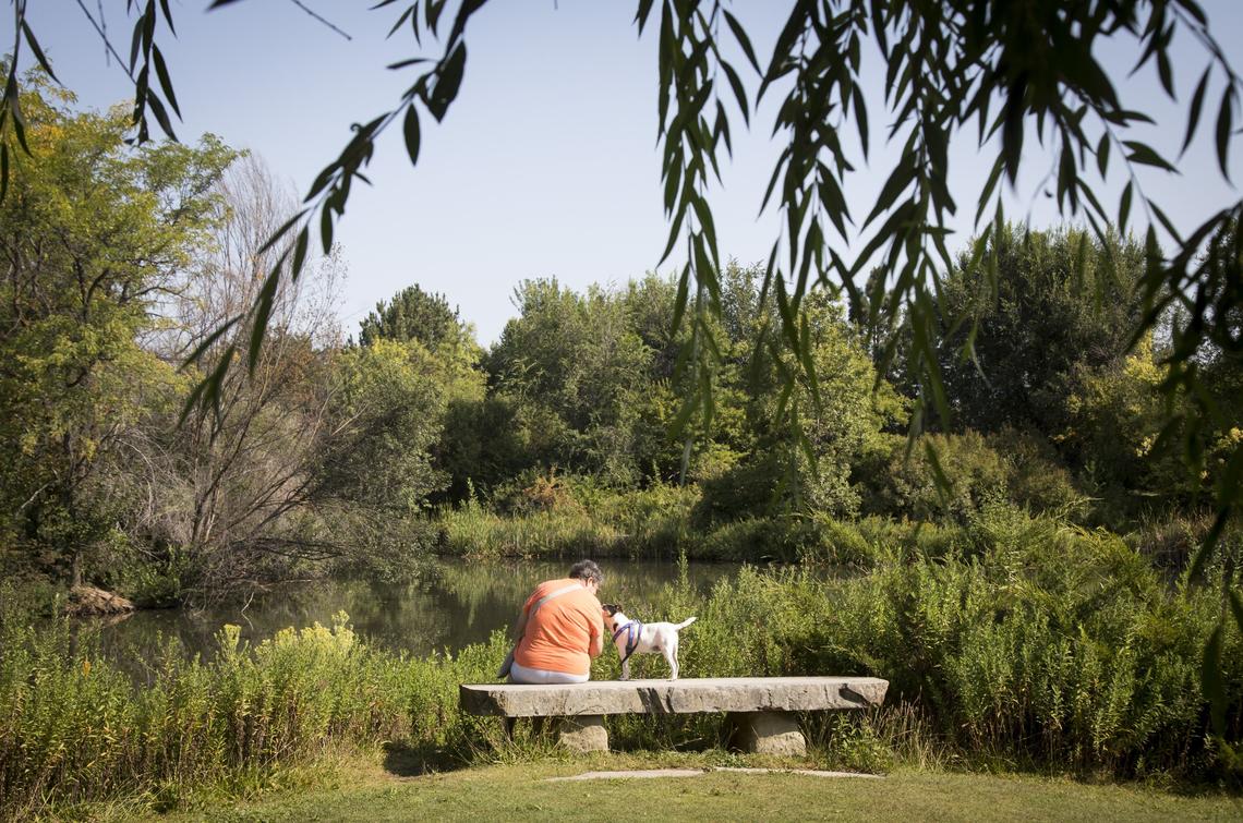 Bea Allen and her dog, Jack, come often to Kathryn Albertson Park. “It’s my favorite spot,” she said, where she can watch a turtle sun itself and see geese swim by.