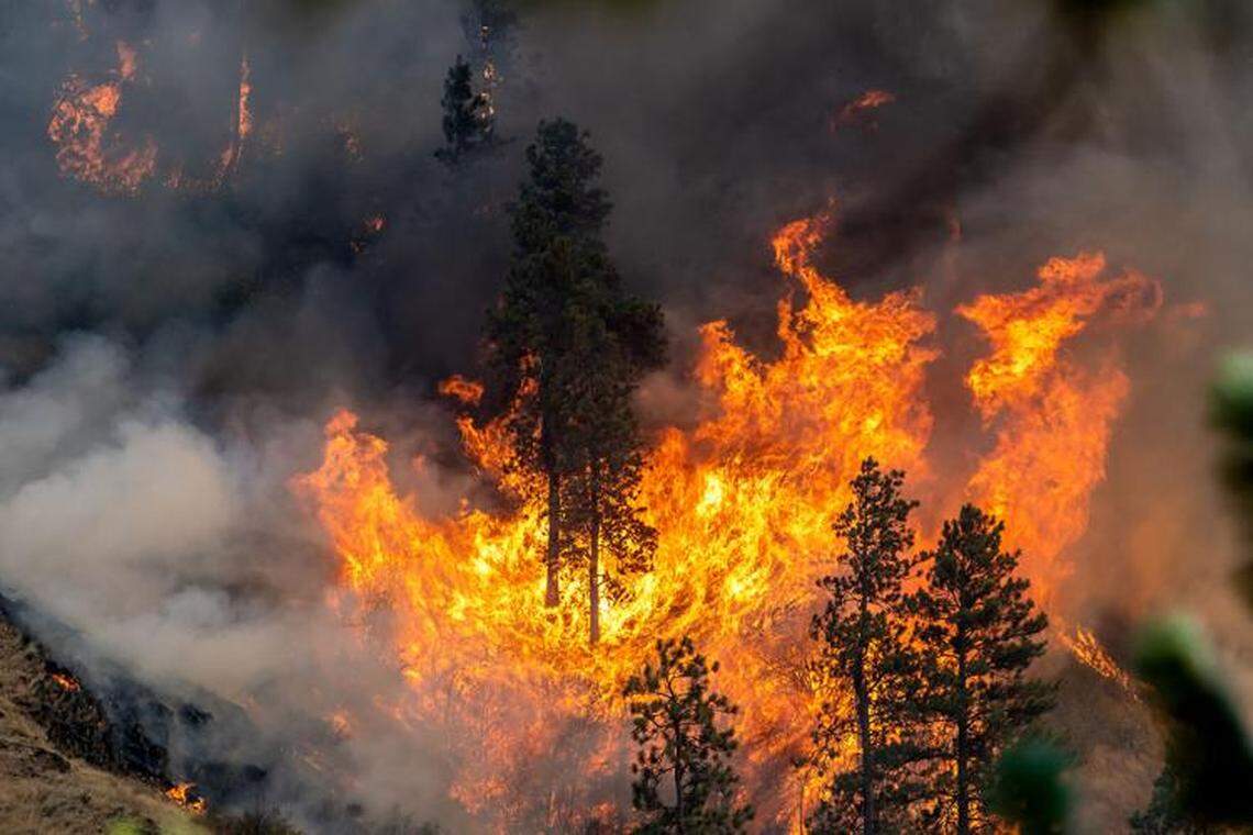 Trees go up in flames near Lewiston, Idaho, shortly after the Gwen Fire began in July. Nearly 150 structures burned in the fire, including 25 homes.