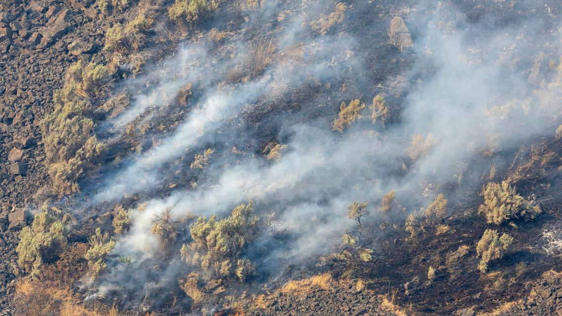 Cheatgrass and other invasive grass species in the Treasure Valley can burn quickly in a wildfire.