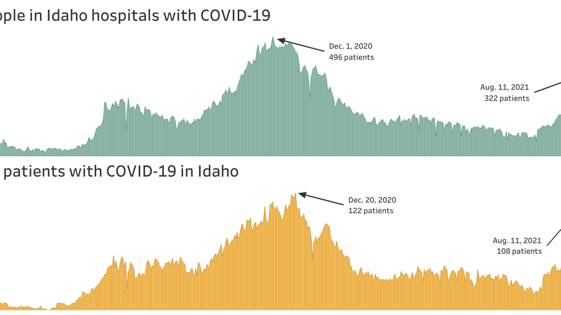 COVID-19 hospitalizations have risen quickly in Idaho late this summer.