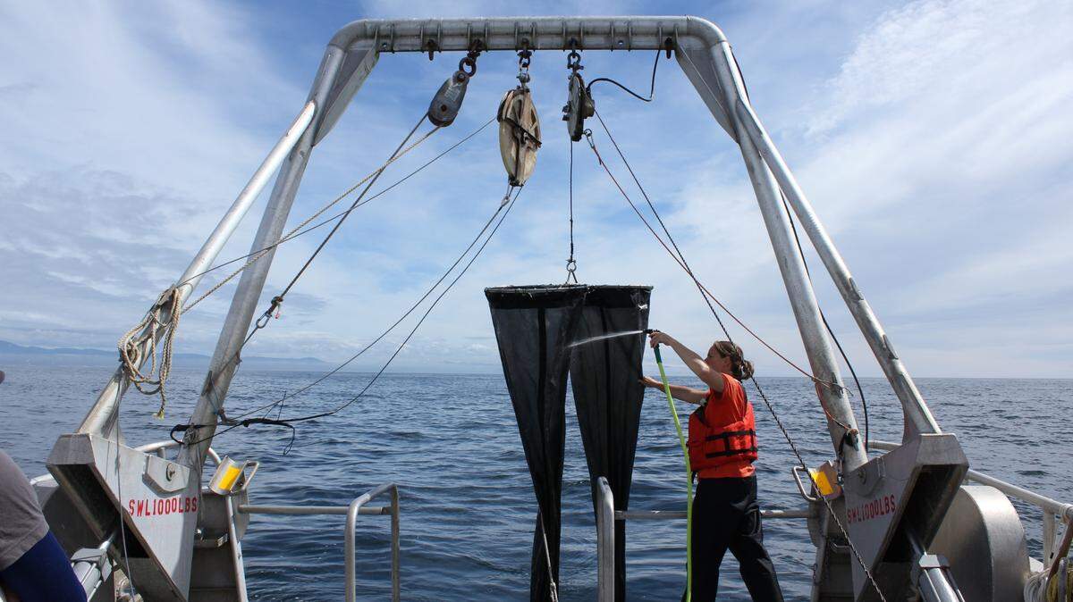 A member of a research crew prepares to deploy a net that catches copepods as part of an ocean condition sampling project.
