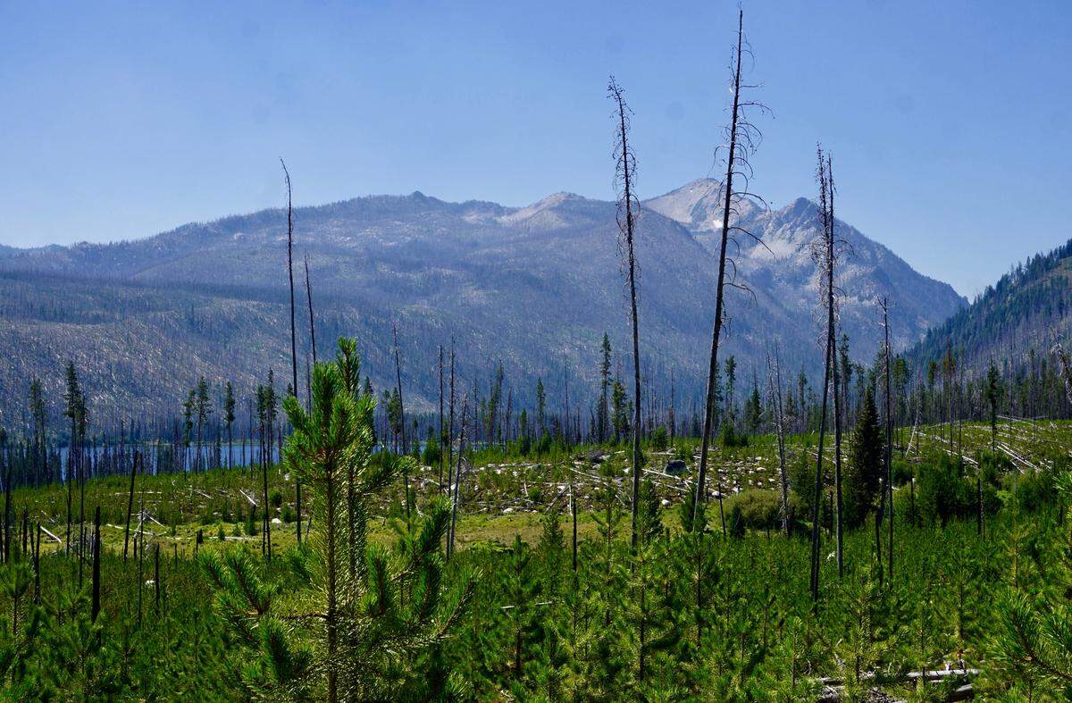 The trail to Loon Lake is a relatively easy 4.6-mile trek (one way) with frequent views of North Loon Mountain in the distance.