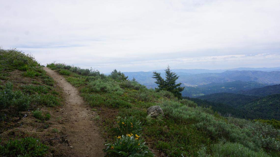 Forget going around this Bogus-area mountain. These trails take you straight to the top.