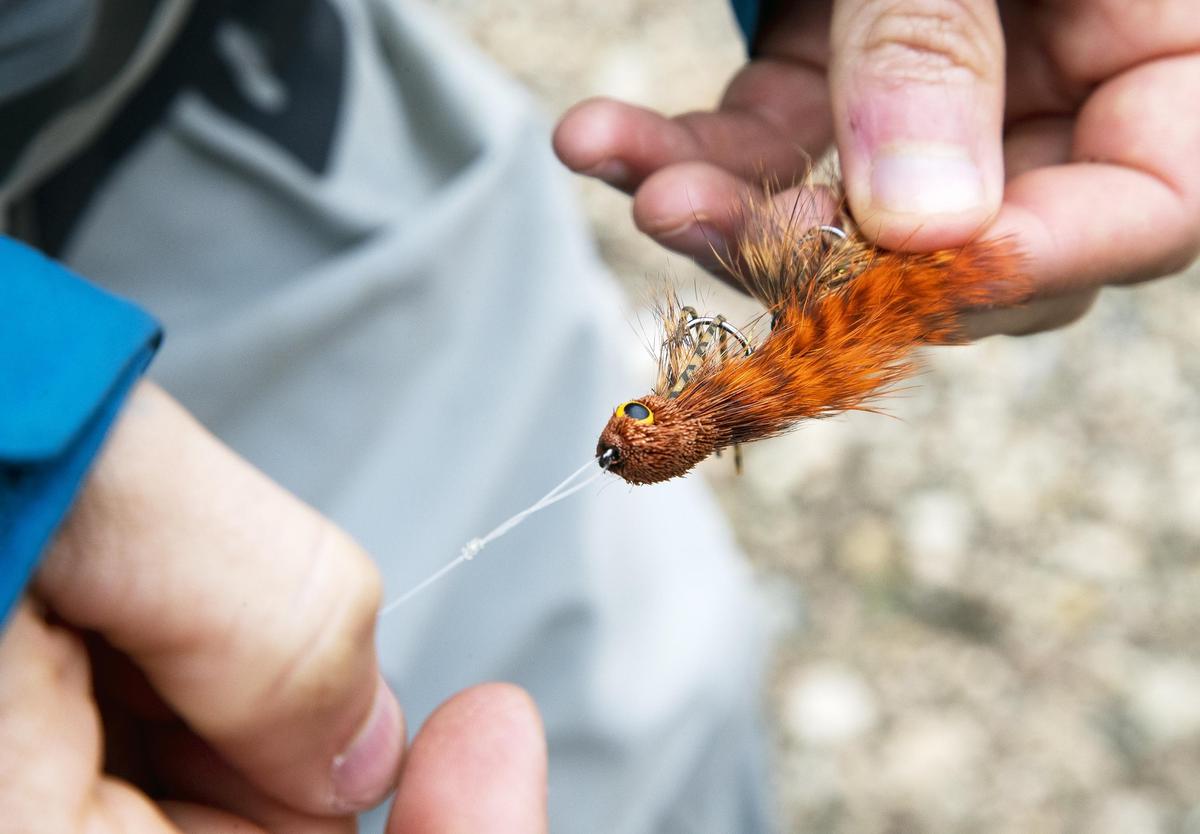 Steve Veals ties on a streamer to his line before heading to one of his favorite fishing holes on the Boise River.