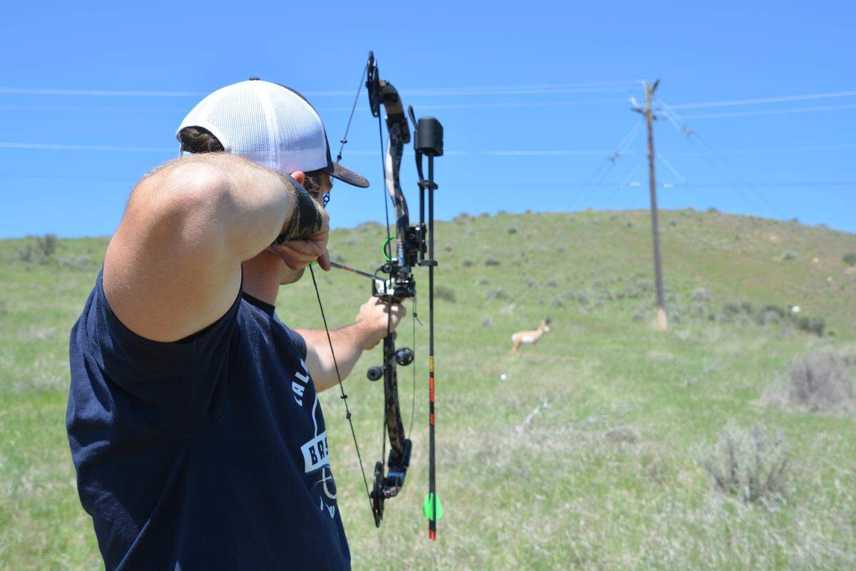 Archers can stalk foam animals in the Foothills at Idaho Fish and Game’s new archery range on the Boise River Wildlife Management Area.