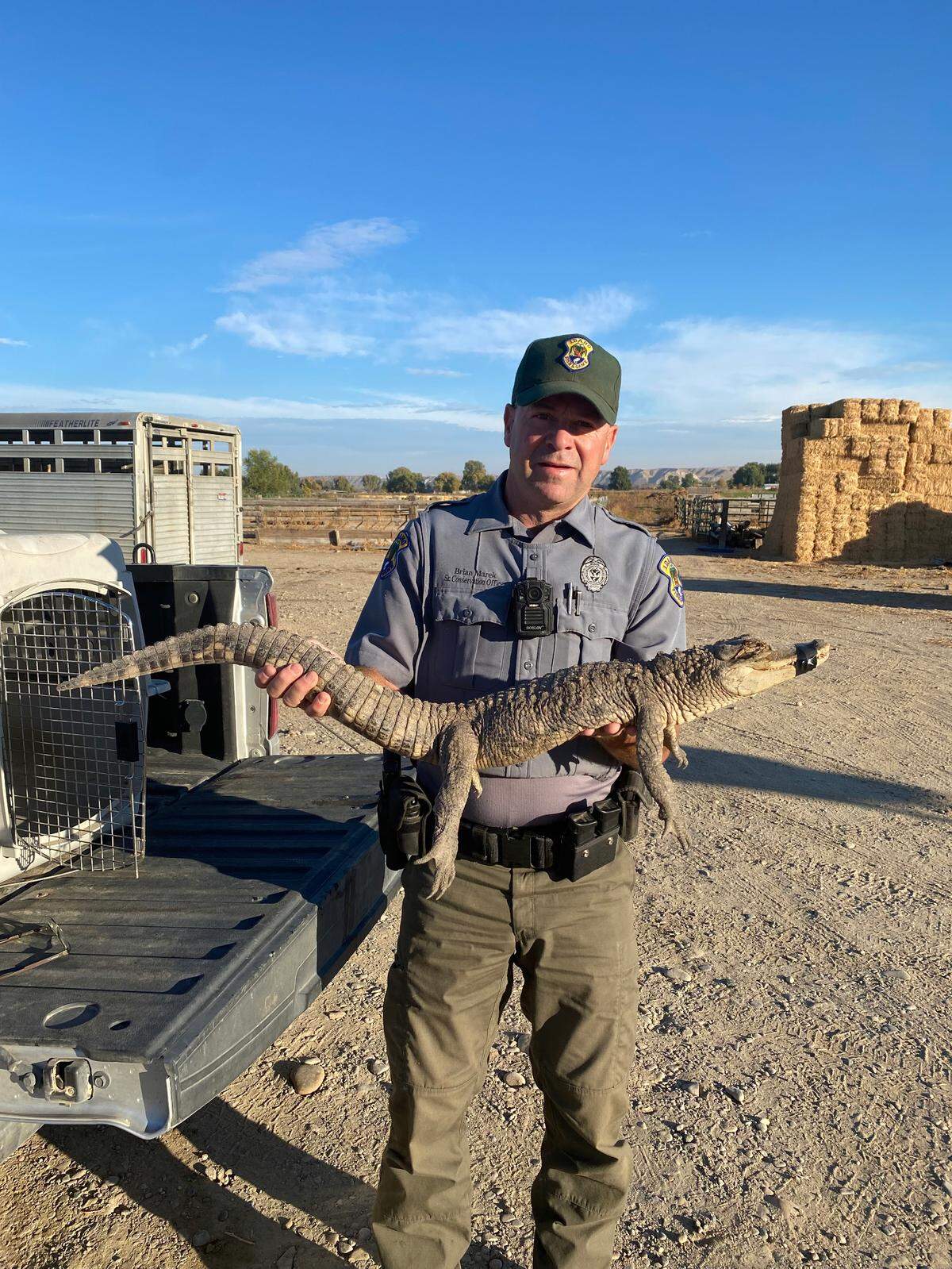 Idaho Department of Fish and Game conservation officer Brian Marek holds a small alligator that was found in New Plymouth on Thursday, Oct. 20, 2022. The agency picked the animal up the next morning.