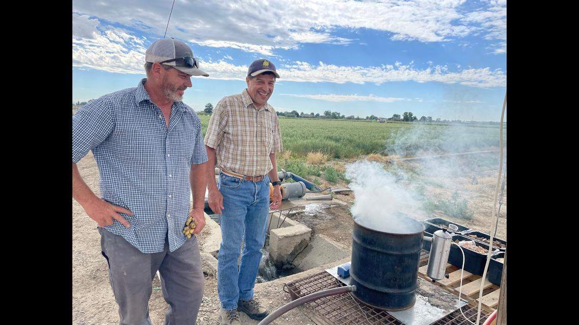Is wildfire smoke harming Idaho’s potatoes? Boise State, U of I research aims to find out