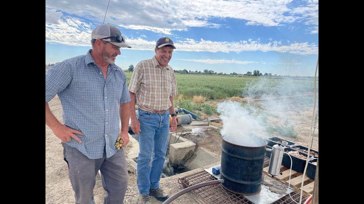 Is wildfire smoke harming Idaho’s potatoes? Boise State, U of I research aims to find out