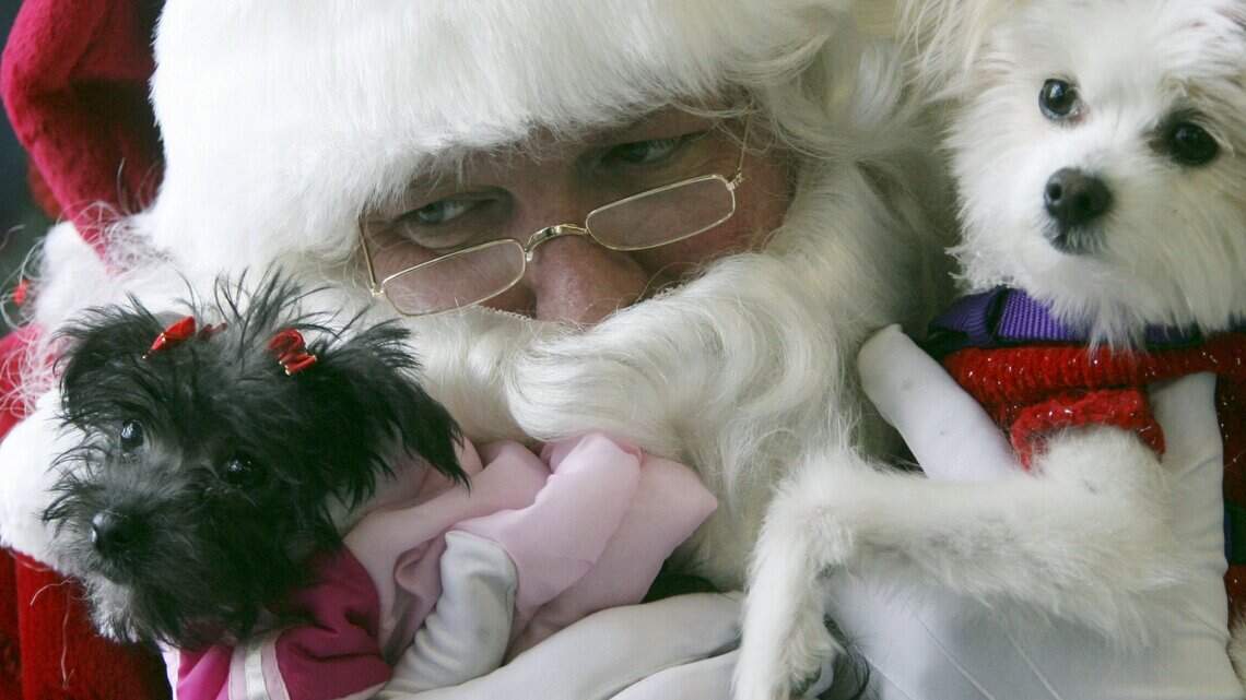 Get pet photos with Santa to benefit group that spays, neuters outside cats