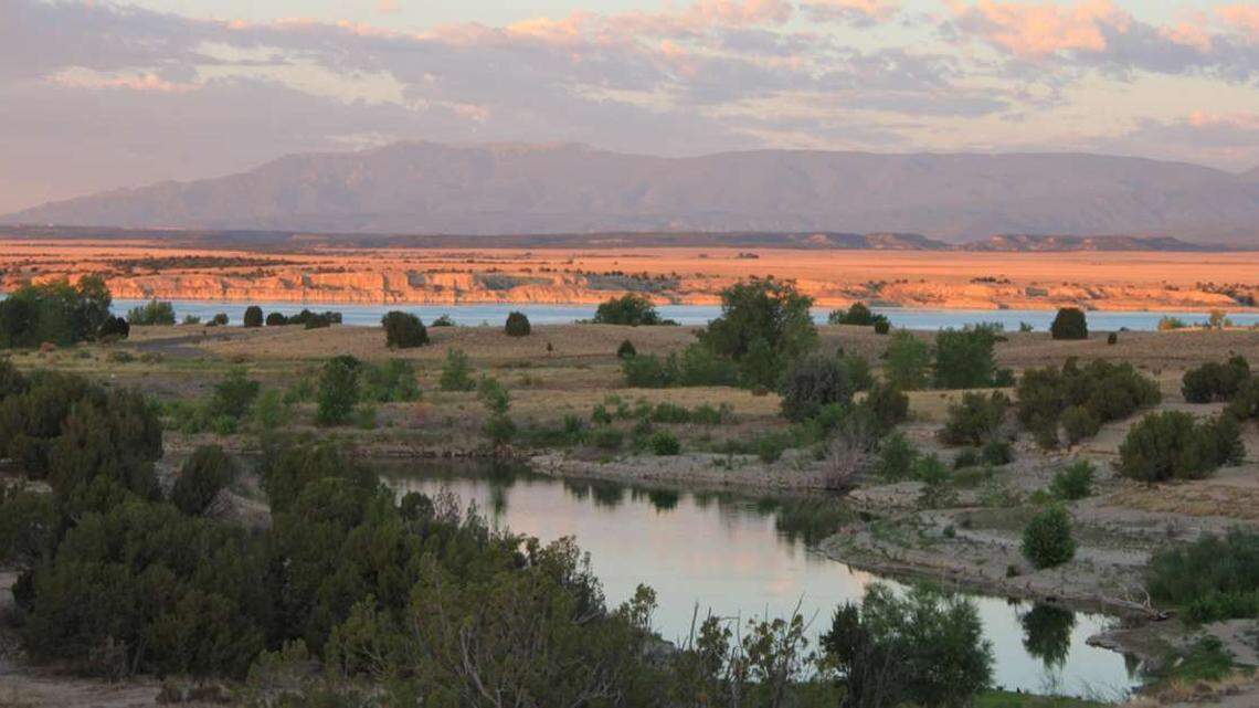 Rescuers helped save a paraglider who crashed into Lake Pueblo, Colorado, but a second crashed paraglider became tangled in his gear and drowned, officials say.