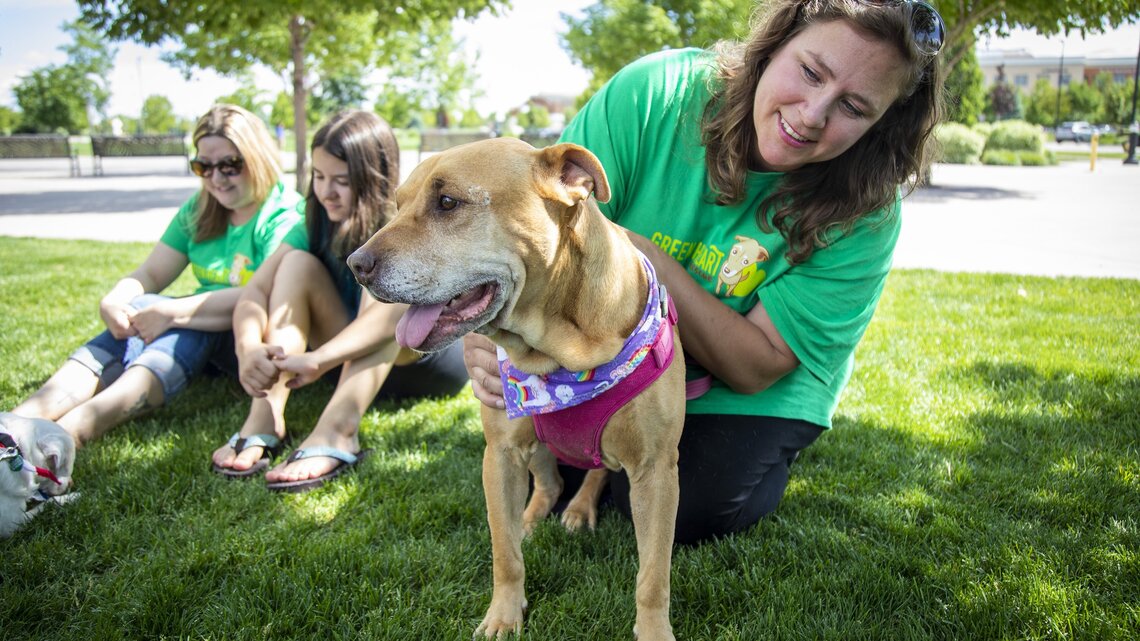Forget new tricks. This Treasure Valley rescue is finding old dogs new homes.