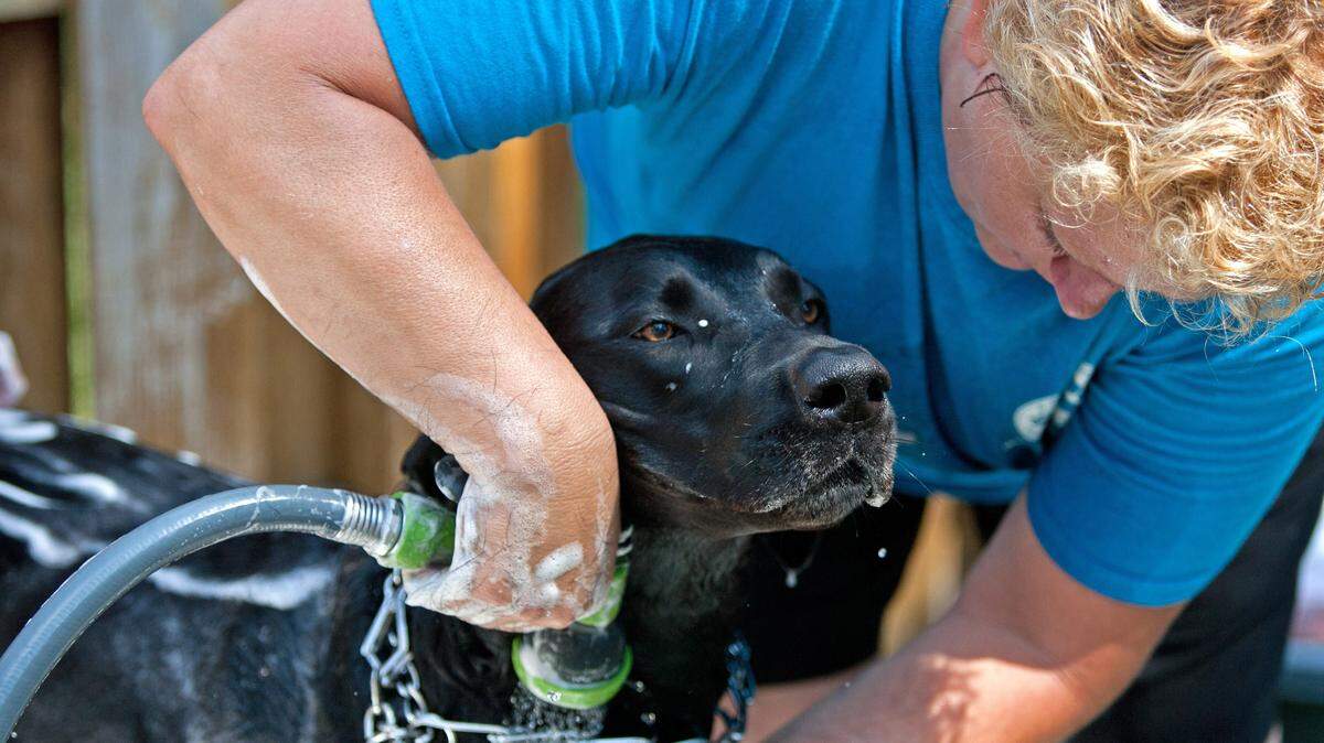 Operation: Bath Time! Bring your grubby pet to the Community Dog Wash Fundraiser at Broadway Vet this Saturday.