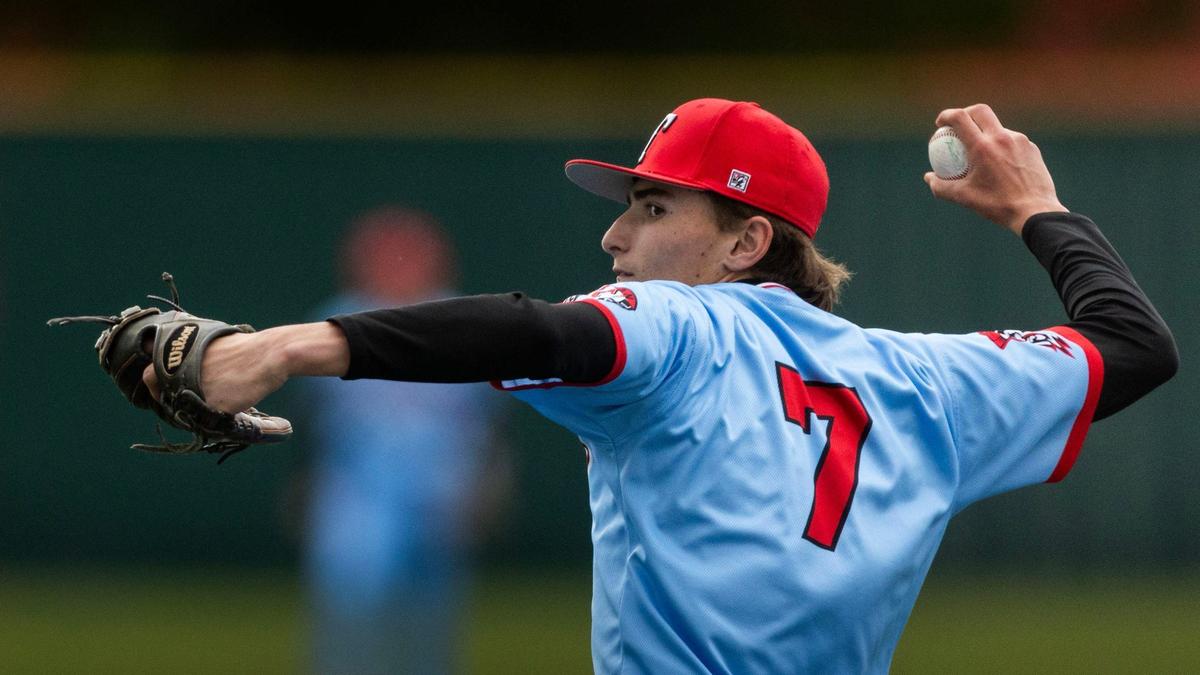 Homedale’s Dillon Fine was the winning pitcher in Friday’s semifinals, moving the Trojans to the 3A championship game.