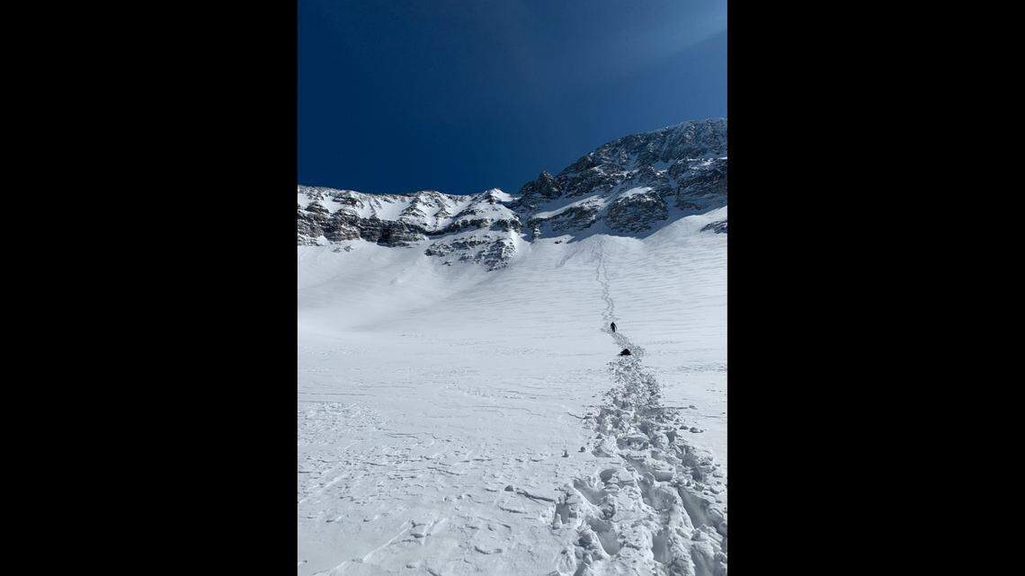 A 37-year-old New Mexico man fell 2,000 feet down Wilson Peak in Colorado while skiing Tuesday, but survived thanks to his helmet.