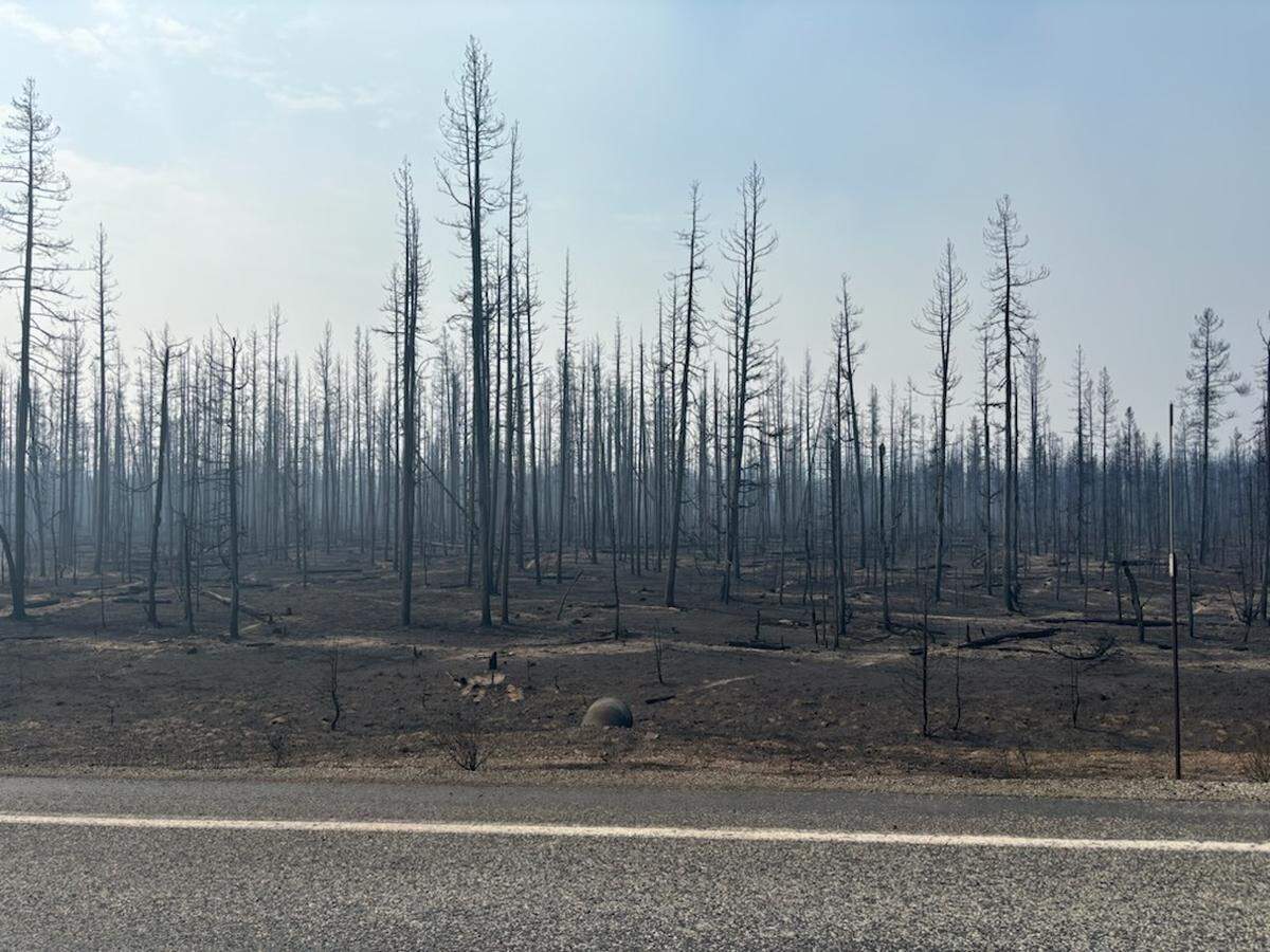Areas that were green just a month ago were left burnt and brown by the Wapiti wildfire.